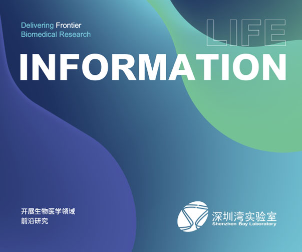 經典的中國Logo設計案例分享：中國結的聯通Logo美譽全國